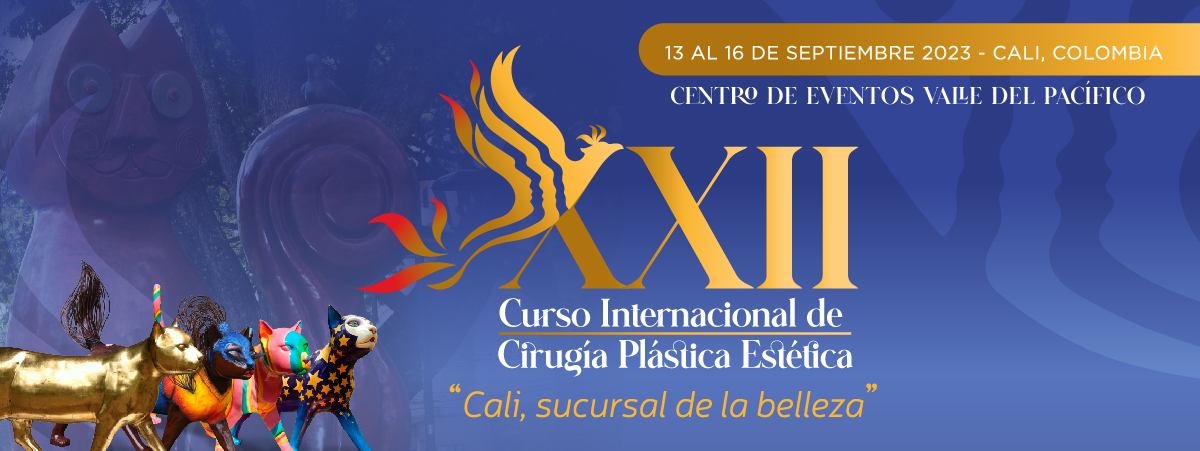 XXII Curso Internacional de Cirugía Plástica Estética