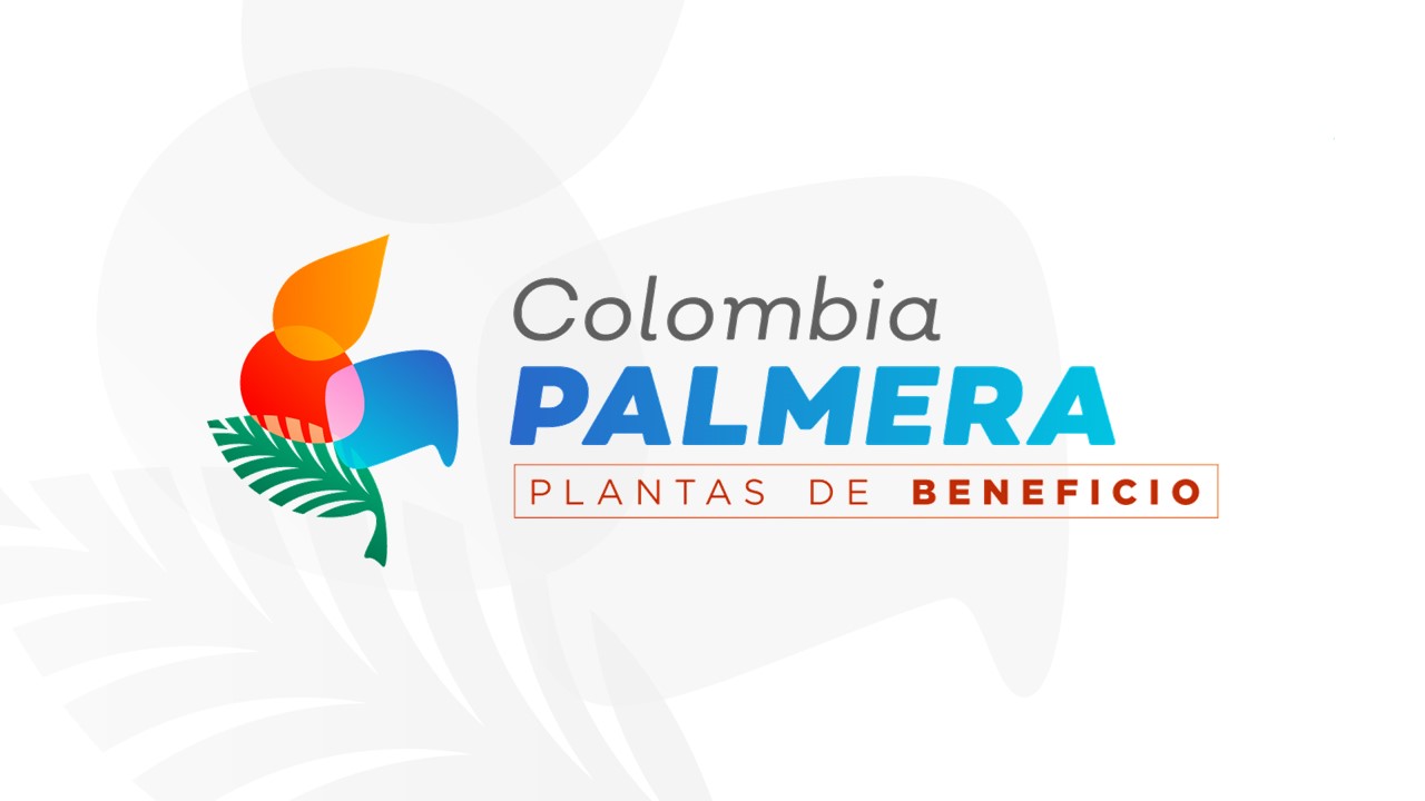 Colombia Palmeras Plantas Extractoras