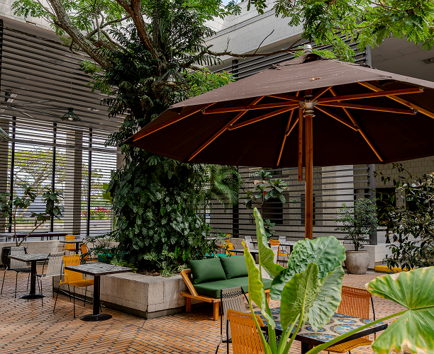 Fotos Valle del cauca S1