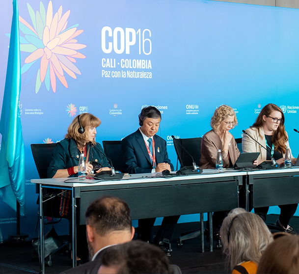 Gubernamentales img2